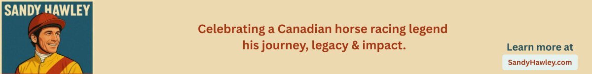 sandyhawley banner ads 4